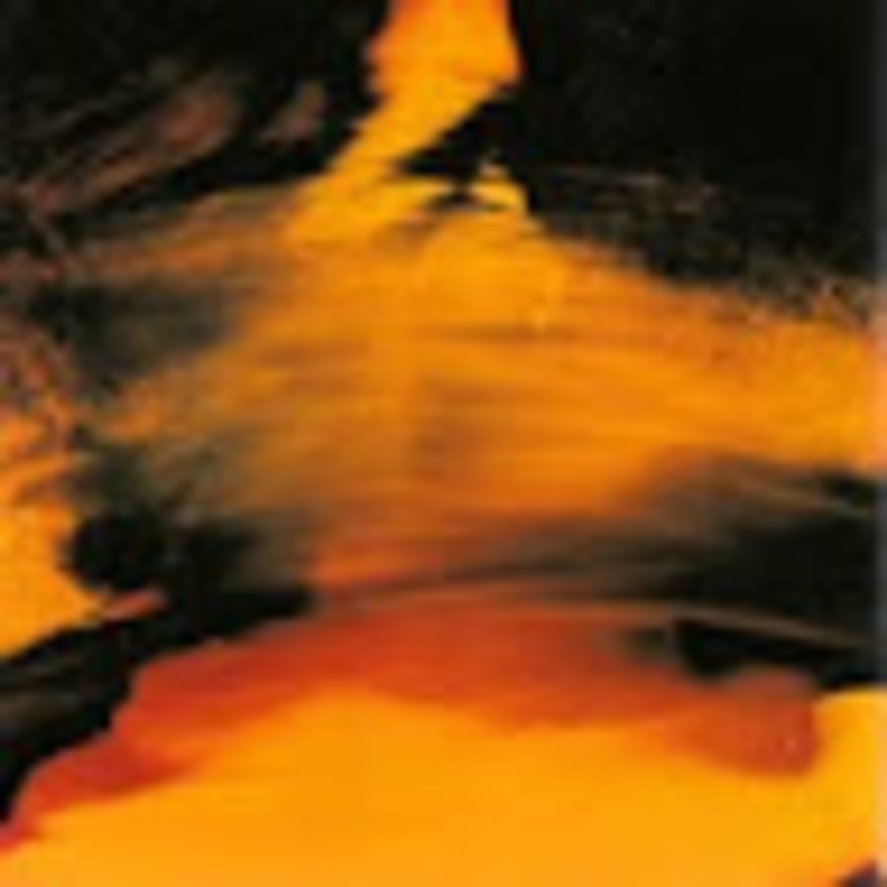 Meet your Posher, Kailey